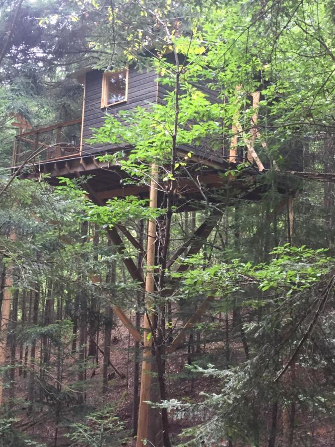 Cabane De L'Ecureuil Hotell Châtel-Guyon Exteriör bild